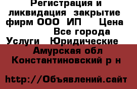 Регистрация и ликвидация (закрытие) фирм ООО, ИП.  › Цена ­ 2 500 - Все города Услуги » Юридические   . Амурская обл.,Константиновский р-н